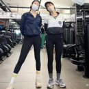 소화라인