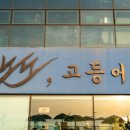 노도고등어회
