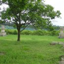 화전제2개간지 농로 | 숭복사지(崇福寺址), 그 불완전한 아름다움