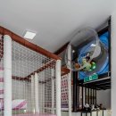 소울키즈 풀빌라 펜션 이미지