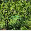 수자원농장 이미지