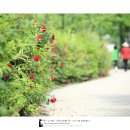 깍꼬뽁꼬 이미지