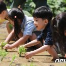 영산강대상공원1 이미지