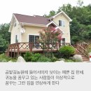 곰밭농장 네이버블로그