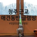 멍글멍글 | 청주 근교 애견동반 글램핑｜수영장·바비큐까지 완벽했던 멍글멍글펫글램핑 후기