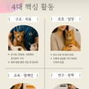 길고양이 마을(카스카) 네이버블로그