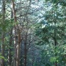 가마을길 이미지