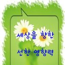 피자 광고 전단지가 준 교훈 이미지