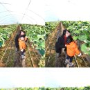 태경농원 이미지