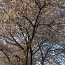 동영주유소 이미지