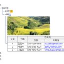 와이즈엑셀