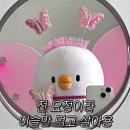 충무연등천길 네이버블로그