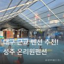 아이랑 가기 좋은 대구 근교 성주 온리원펜션! 수영장 물놀이, 평상 대여, 다슬기 잡기까지