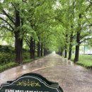 이마트24죽녹원후문점(emart24) 이미지