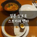 일본 삿포로 스텔라플레이스 맛집, 스프카레 텐마: 돼지고기 스프카레, 하프앤하프(비프카레, 키마) 후기