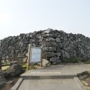 협자연대 이미지