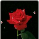 망우동-055 이미지