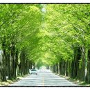 칠구재주유소 이미지