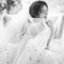 스튜디오스위트피