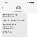 페티포티