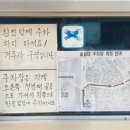 동도카센타 이미지