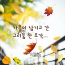 들녘에 이미지