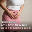 메디팜보문약국 이미지