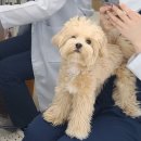 메디아치아카데미 | 부산내성발톱관리 레푸스 수영점. 정확하고 꼼꼼하게 관리받기