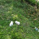 운가펜션 이미지