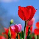 스마트폰 활용 지도사 이미지