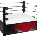 팀건복싱 이미지