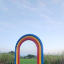 금호강 | 금호강 하중도 자전거 라이딩 후기(25.09.11)