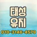 태성환경 | 대구 태성유지, 국밥 동물성기름 전문 수거로 위생적인 식당 환경 완성하기
