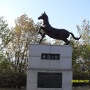 금마