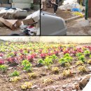 개운동 행정복지센터 이미지