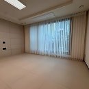 펫엣지-수입 | 우리 집 창문에 봄이 찾아왔어요!