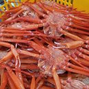 후포리