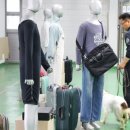 경진상회 | ● 군견의 역사 (22) : 대한민국 마약탐지견 및 119구조견 등 _ 품종견 브리더 일반상식