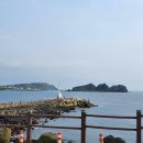 제주늘보의오후 이미지