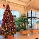 다사읍작은도서관 | 대구 다사 크리스마스트리카페 벨베꼼메