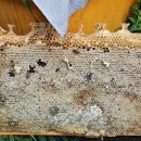 월악산자연농장 이미지