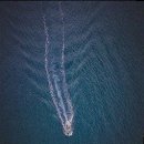 플레이스퀘어 이미지