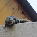 휴양림 관리사무소 화장실 이미지