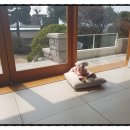 김서영헤어 - 달서구 호산로 125 | 김서영헤어