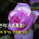 인향만리(人香萬里) - 사람의 향기는 만리를 가다. 이미지