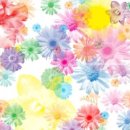 일러스트 이미지