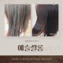 예슬쌀롱 광주 불로동점 | 전라도 광주 미용실 추천!/ 예슬쌀롱 광주불로동점 밀본 클리닉 후기