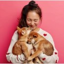 더좋은 동물병원 이미지