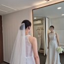 호텔포마 | 결혼준비 7. 가성비 본식 드레스 (포마이시스), 피로연 원피스(달리호텔) 결정 2탄