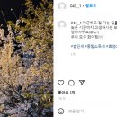 마호필세무회계사무소 네이버블로그